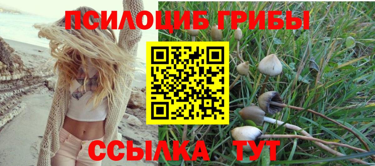 Долгопрудный  Псилоцибиновые грибы мицелий  Вход с VPN  Галлюциногенные грибы мухоморы 