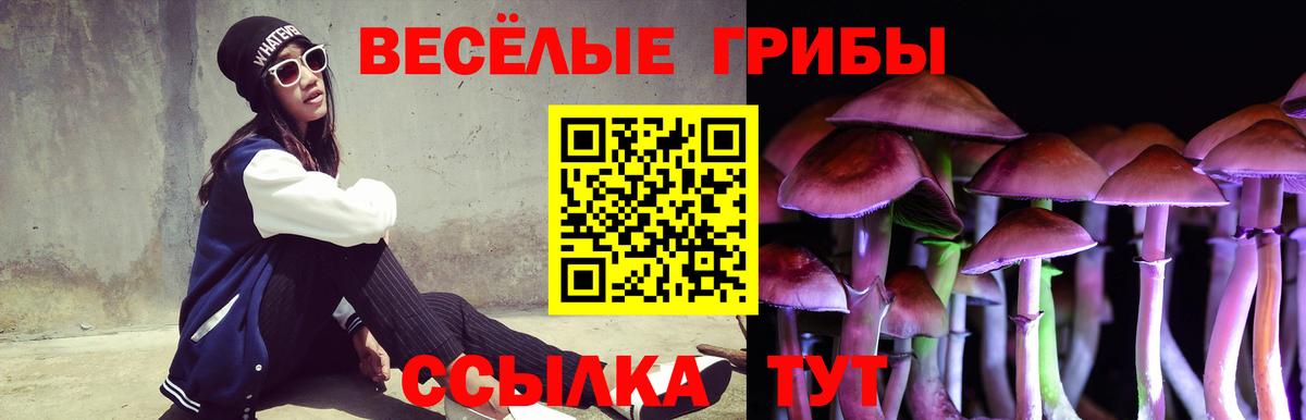 Псилоцибиновые грибы Cubensis Долгопрудный