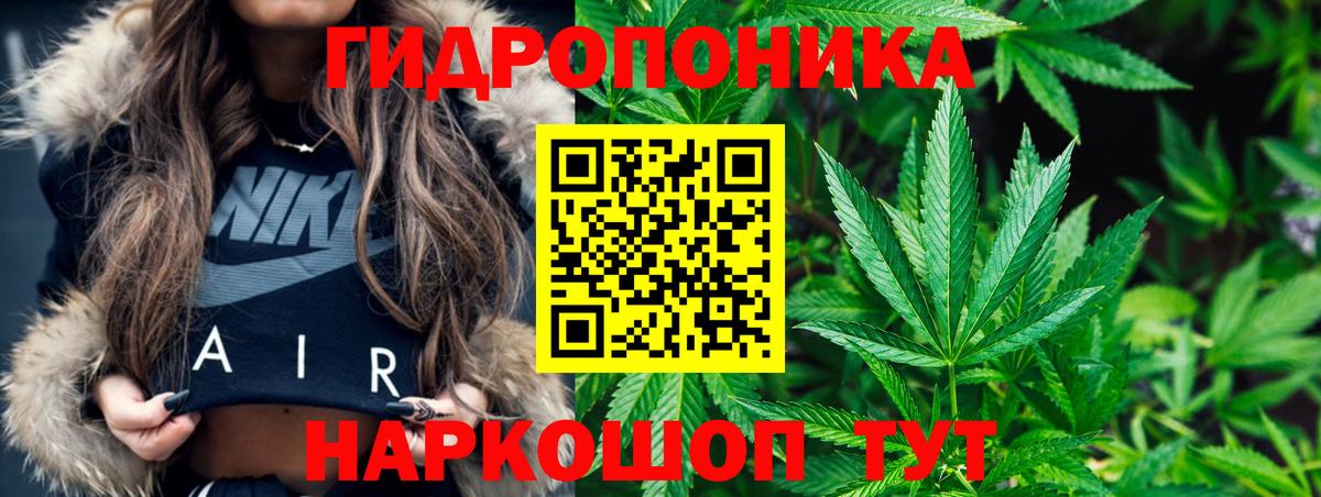 Бошки марихуана White Widow  Вход с VPN  Долгопрудный  Шишки марихуана THC 21%  Конопля план 